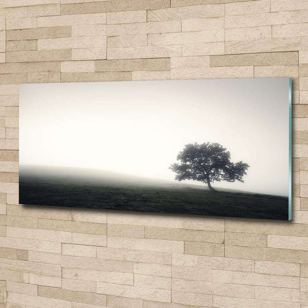 Foto obraz akrylové sklo Strom