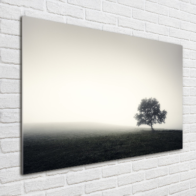 Foto obraz akrylové sklo Strom
