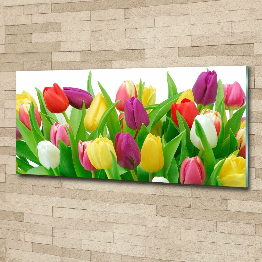 Foto obraz akrylový na stenu Farebné tulipány