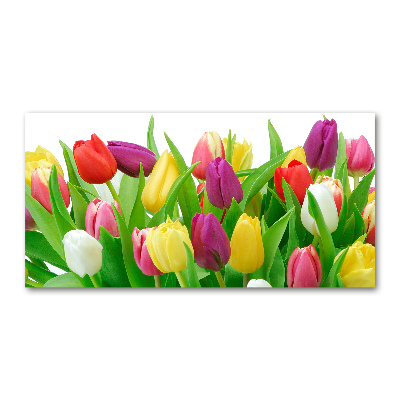 Foto obraz akrylový na stenu Farebné tulipány