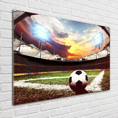 Foto obraz akrylový na stenu Lopta na štadióne