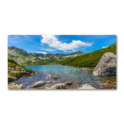 Foto obraz akrylové sklo Údolie tatry