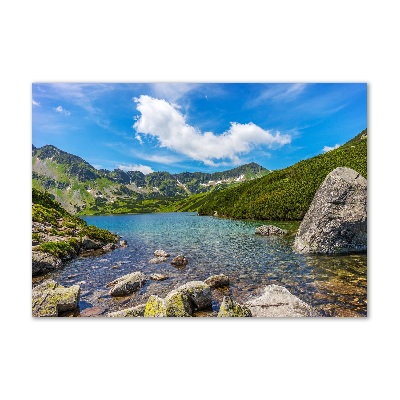 Foto obraz akrylové sklo Údolie tatry