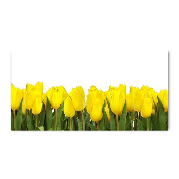 Foto obraz akrylový do obývačky Žlté tulipány