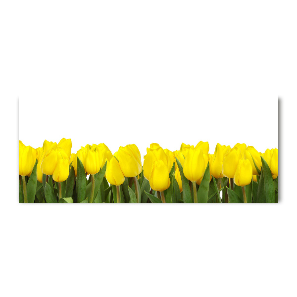 Foto obraz akrylový do obývačky Žlté tulipány