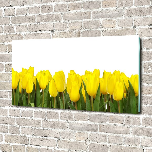Foto obraz akrylový do obývačky Žlté tulipány