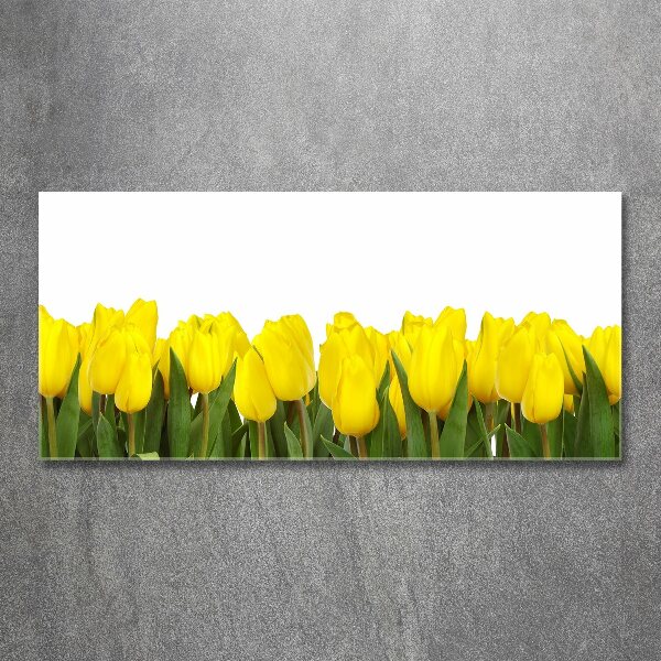 Foto obraz akrylový do obývačky Žlté tulipány