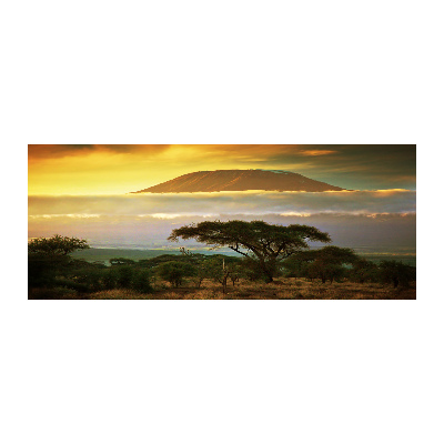 Foto obraz akrylový do obývačky Kilimanjaro Kenya