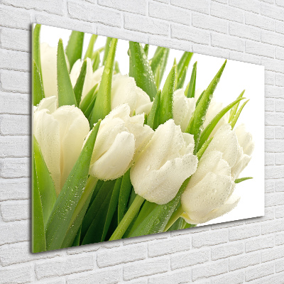 Moderný obraz fotografie na akrylu Biele tulipány