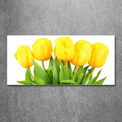 Foto obraz akrylový na stenu Žlté tulipány