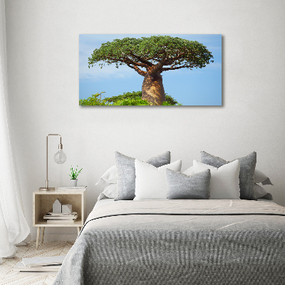 Foto obraz akrylový na stenu Baobab