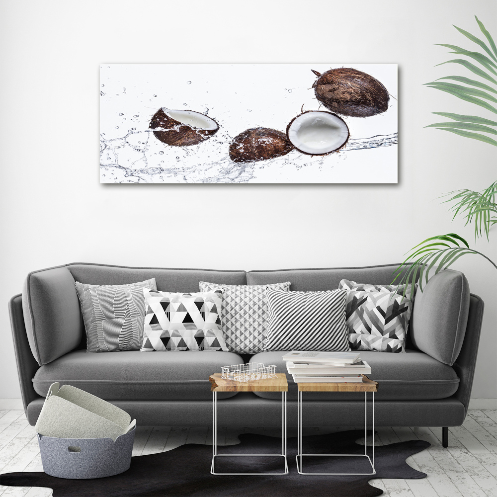 Foto obraz akryl do obývačky Kokos s vodou