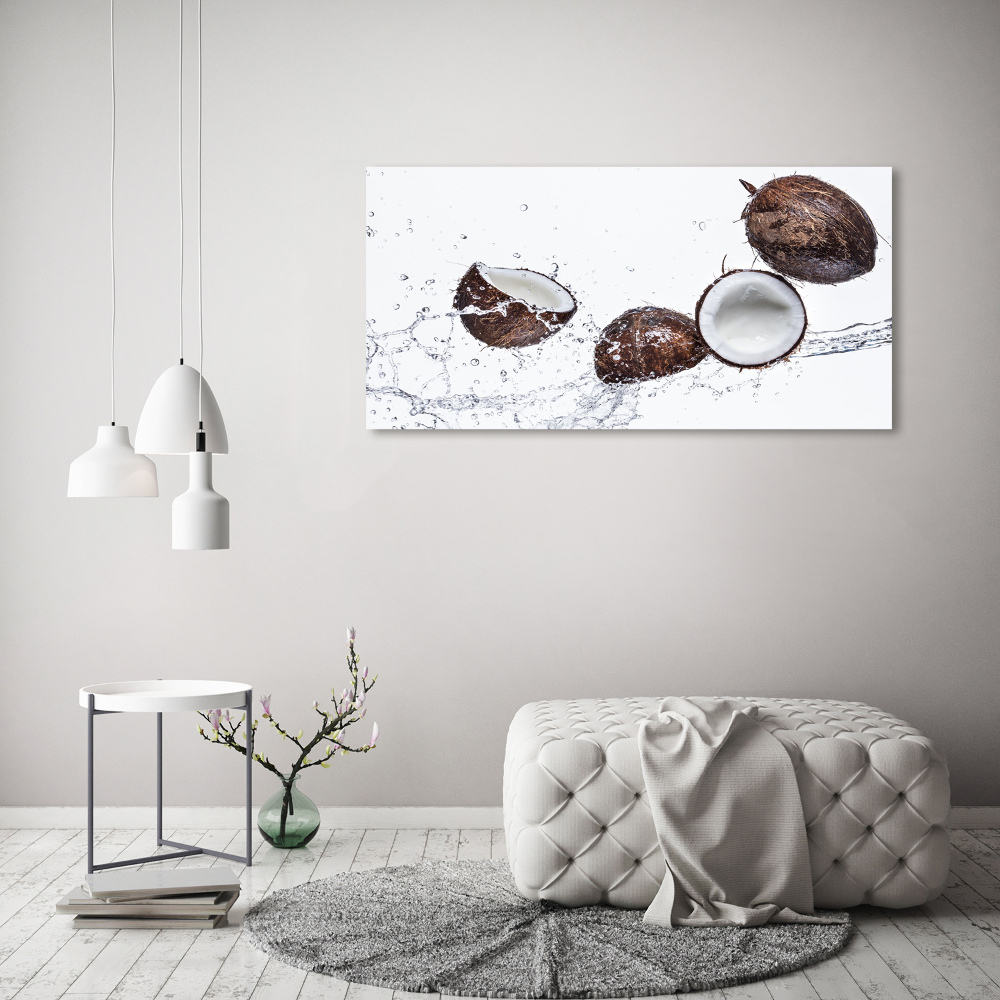 Foto obraz akryl do obývačky Kokos s vodou