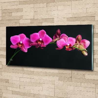 Foto obraz akrylový Orchidea