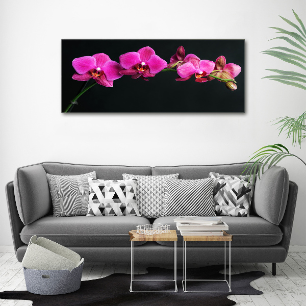Foto obraz akrylový Orchidea