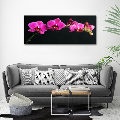 Foto obraz akrylový Orchidea