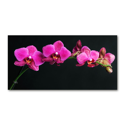 Foto obraz akrylový Orchidea