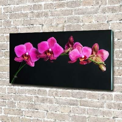 Foto obraz akrylový Orchidea