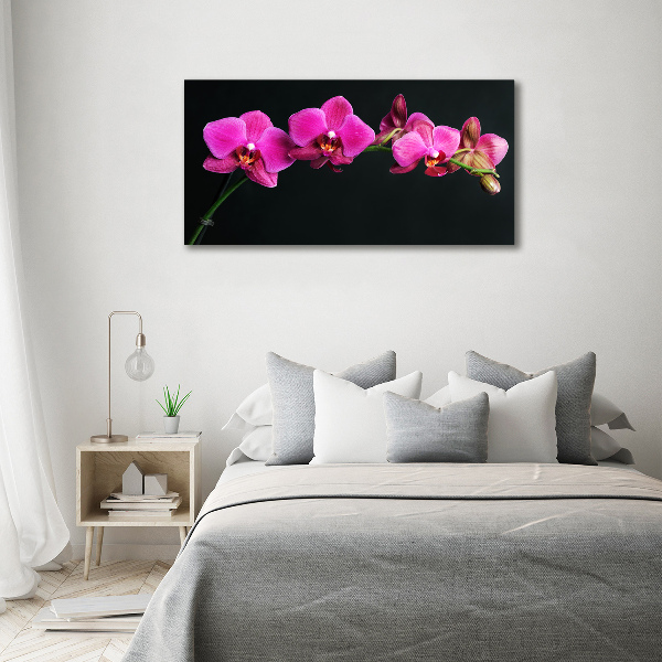 Foto obraz akrylový Orchidea