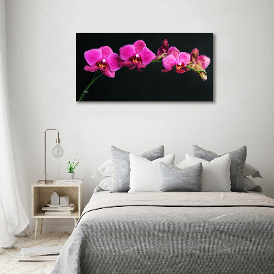 Foto obraz akrylový Orchidea