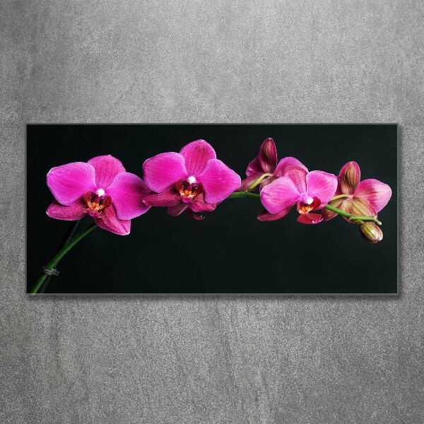 Foto obraz akrylový Orchidea