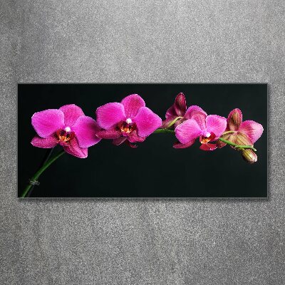Foto obraz akrylový Orchidea