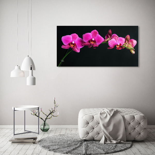 Foto obraz akrylový Orchidea