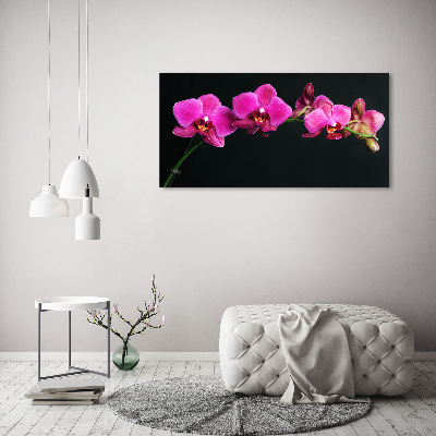 Foto obraz akrylový Orchidea