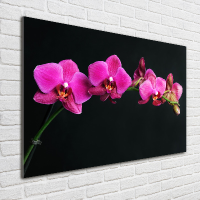 Foto obraz akrylový Orchidea
