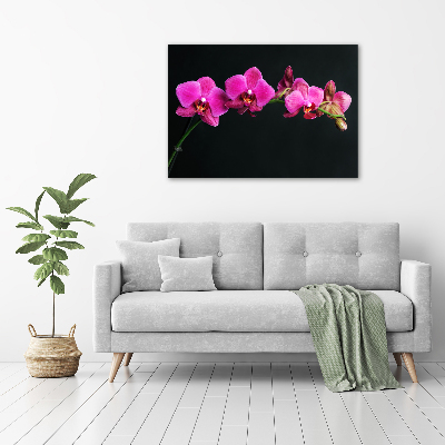 Foto obraz akrylový Orchidea
