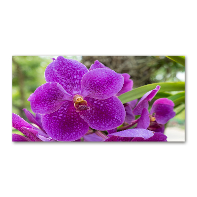 Foto obraz akrylové sklo Orchidea