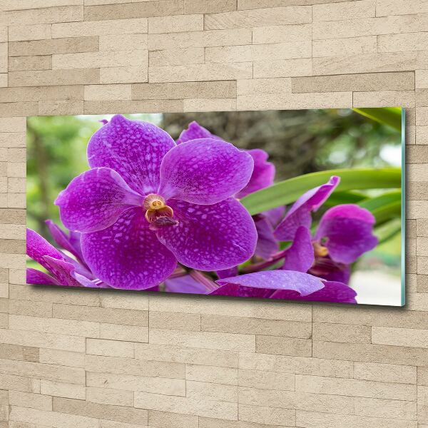 Foto obraz akrylové sklo Orchidea