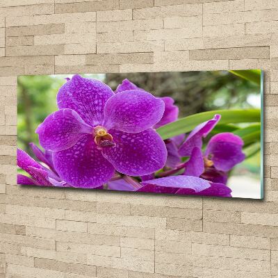 Foto obraz akrylové sklo Orchidea