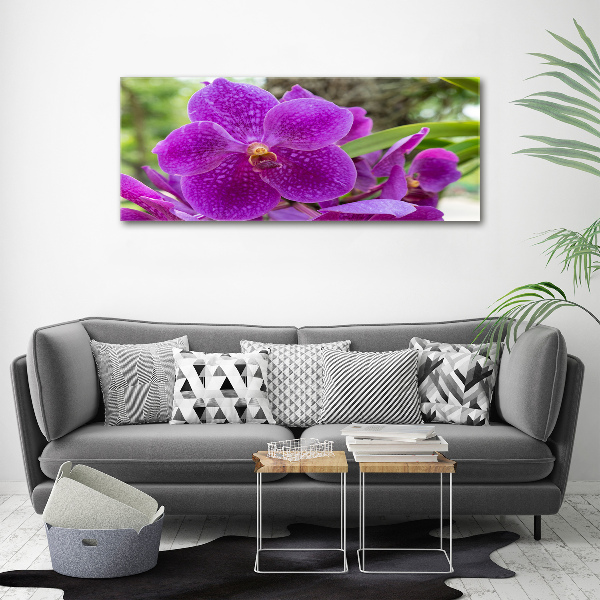 Foto obraz akrylové sklo Orchidea