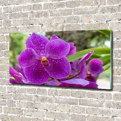 Foto obraz akrylové sklo Orchidea