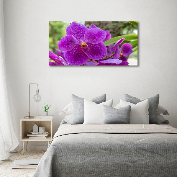 Foto obraz akrylové sklo Orchidea
