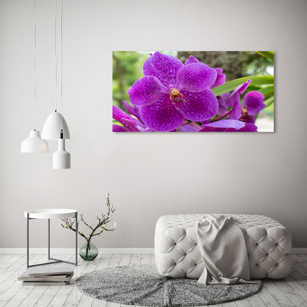 Foto obraz akrylové sklo Orchidea