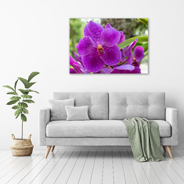 Foto obraz akrylové sklo Orchidea
