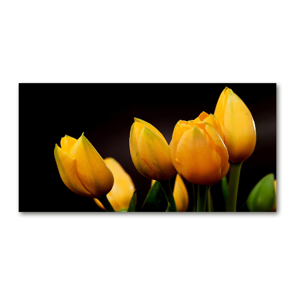 Foto obraz akrylový do obývačky Žlté tulipány