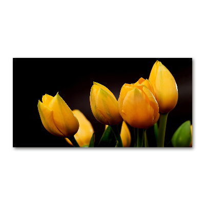 Foto obraz akrylový do obývačky Žlté tulipány
