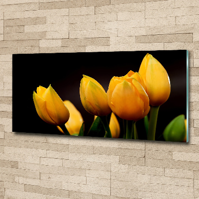 Foto obraz akrylový do obývačky Žlté tulipány