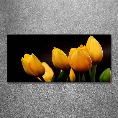 Foto obraz akrylový do obývačky Žlté tulipány