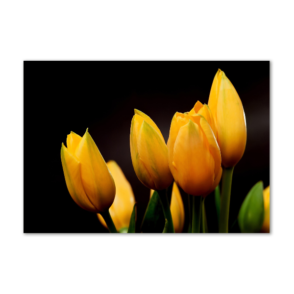 Foto obraz akrylový do obývačky Žlté tulipány