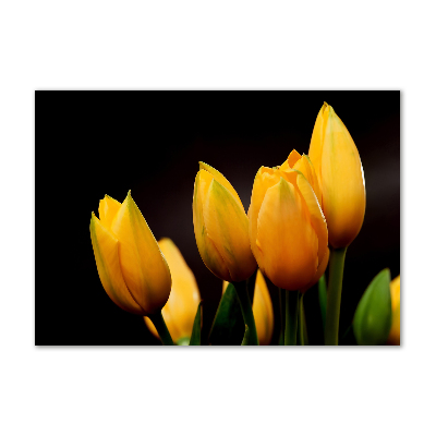Foto obraz akrylový do obývačky Žlté tulipány
