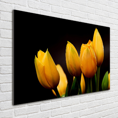 Foto obraz akrylový do obývačky Žlté tulipány