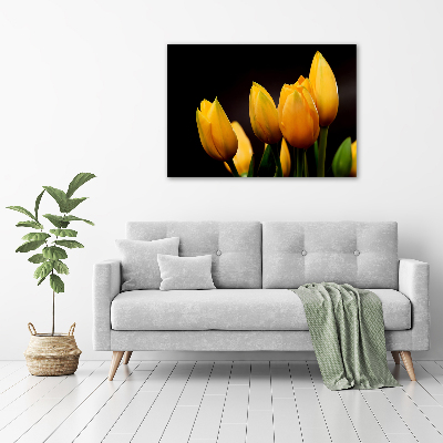 Foto obraz akrylový do obývačky Žlté tulipány