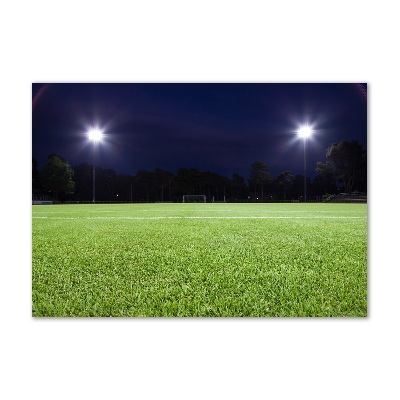 Foto obraz akrylový do obývačky Futbalové ihrisko