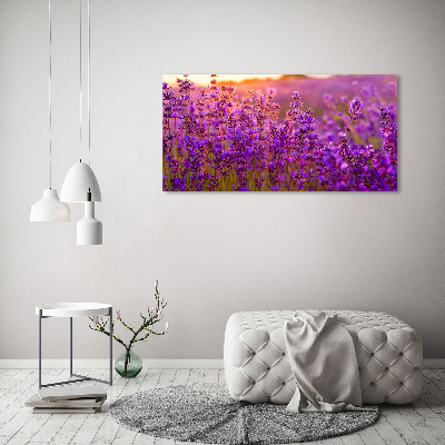 Foto obraz akrylový Pole levanduľa