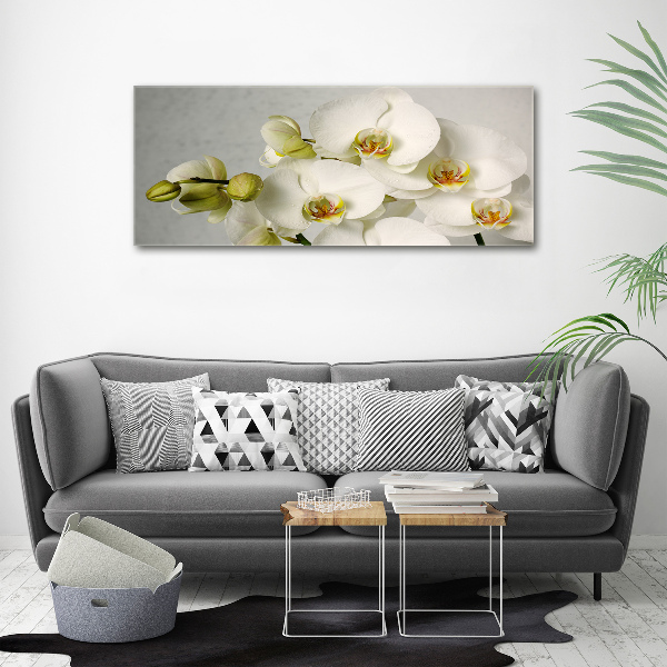 Foto obraz akrylový Biela orchidea