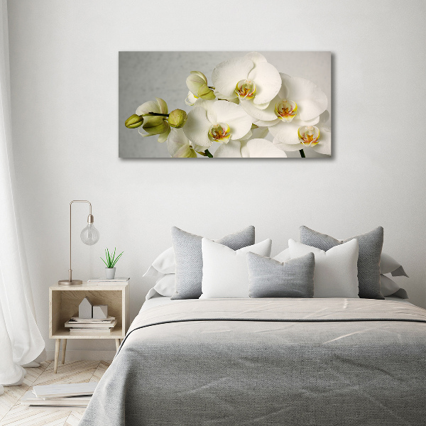 Foto obraz akrylový Biela orchidea